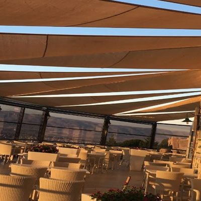 Asma Germe Sistemler